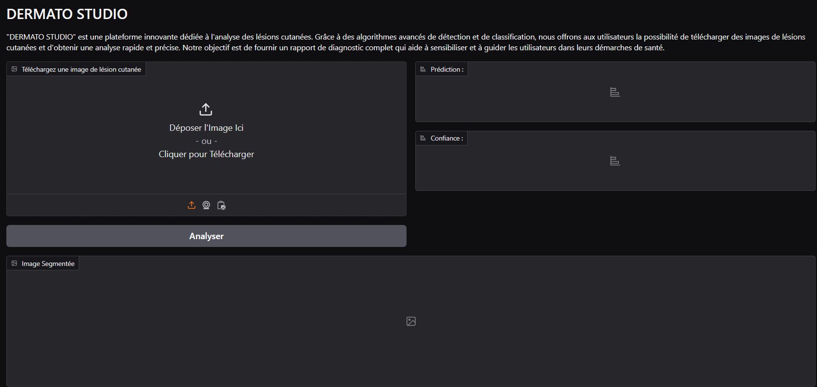 YOLOv5 Object Detection